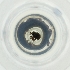  ( - MOZZ00000881A_F8)  @11 [ ] by  Genome Research Ltd as Wellcome Sanger Institute Genome Research Limited operating as Wellcome Sanger Institute