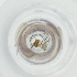  ( - MOZZ00000966A_H6)  @11 [ ] by  Genome Research Ltd as Wellcome Sanger Institute Genome Research Limited operating as Wellcome Sanger Institute