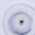  ( - MOZZ00000967A_D8)  @11 [ ] by  Genome Research Ltd as Wellcome Sanger Institute Genome Research Limited operating as Wellcome Sanger Institute