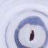 ( - MOZZ00000967A_H9)  @11 [ ] by  Genome Research Ltd as Wellcome Sanger Institute Genome Research Limited operating as Wellcome Sanger Institute
