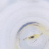  ( - MOZZ00000969A_H10)  @11 [ ] by  Genome Research Ltd as Wellcome Sanger Institute Genome Research Limited operating as Wellcome Sanger Institute