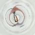  ( - MOZZ00000970A_E4)  @11 [ ] by  Genome Research Ltd as Wellcome Sanger Institute Genome Research Limited operating as Wellcome Sanger Institute