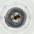  ( - MOZZ00000971A_D6)  @11 [ ] by  Genome Research Ltd as Wellcome Sanger Institute Genome Research Limited operating as Wellcome Sanger Institute