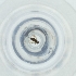  ( - MOZZ00000971A_E3)  @11 [ ] by  Genome Research Ltd as Wellcome Sanger Institute Genome Research Limited operating as Wellcome Sanger Institute