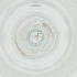  (Porricondyla rufescens - MOZZ00000972A_D9)  @11 [ ] by  Genome Research Ltd as Wellcome Sanger Institute Genome Research Limited operating as Wellcome Sanger Institute