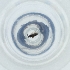  ( - MOZZ00000972A_E12)  @11 [ ] by  Genome Research Ltd as Wellcome Sanger Institute Genome Research Limited operating as Wellcome Sanger Institute