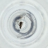  ( - MOZZ00000972A_G7)  @11 [ ] by  Genome Research Ltd as Wellcome Sanger Institute Genome Research Limited operating as Wellcome Sanger Institute