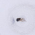  ( - MOZZ00000975A_F7)  @11 [ ] by  Genome Research Ltd as Wellcome Sanger Institute Genome Research Limited operating as Wellcome Sanger Institute
