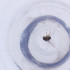  ( - MOZZ00000975A_H10)  @11 [ ] by  Genome Research Ltd as Wellcome Sanger Institute Genome Research Limited operating as Wellcome Sanger Institute