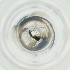  ( - OXWW_001_E8)  @11 [ ] by  Genome Research Ltd as Wellcome Sanger Institute Genome Research Limited operating as Wellcome Sanger Institute