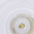  ( - OXWW_009_F9)  @11 [ ] by  Genome Research Ltd as Wellcome Sanger Institute Genome Research Limited operating as Wellcome Sanger Institute
