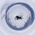  ( - OXWW_011_D1)  @11 [ ] by  Genome Research Ltd as Wellcome Sanger Institute Genome Research Limited operating as Wellcome Sanger Institute