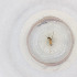  ( - OXWW_011_F11)  @11 [ ] by  Genome Research Ltd as Wellcome Sanger Institute Genome Research Limited operating as Wellcome Sanger Institute