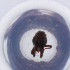  ( - OXWW_014_B5)  @11 [ ] by  Genome Research Ltd as Wellcome Sanger Institute Genome Research Limited operating as Wellcome Sanger Institute