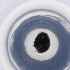  ( - OXWW_014_B8)  @11 [ ] by  Genome Research Ltd as Wellcome Sanger Institute Genome Research Limited operating as Wellcome Sanger Institute
