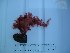  ( - GWS015629)  @11 [ ] Unspecified (default): All Rights Reserved  Unspecified Unspecified