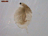  ( - BIOUG00334-A05)  @13 [ ] Unspecified (default): All Rights Reserved  Unspecified Unspecified