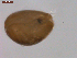  ( - BIOUG00334-C05)  @13 [ ] Unspecified (default): All Rights Reserved  Unspecified Unspecified