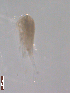  ( - BIOUG00334-D01)  @13 [ ] Unspecified (default): All Rights Reserved  Unspecified Unspecified