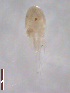  ( - BIOUG00334-G12)  @13 [ ] Unspecified (default): All Rights Reserved  Unspecified Unspecified