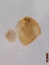  ( - BIOUG00335-D12)  @12 [ ] Unspecified (default): All Rights Reserved  Unspecified Unspecified