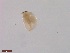  ( - BIOUG01320-E06)  @12 [ ] Unspecified (default): All Rights Reserved  Unspecified Unspecified