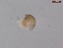  (Alonella - BIOUG01321-D09)  @13 [ ] Unspecified (default): All Rights Reserved  Unspecified Unspecified