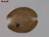  ( - BIOUG01321-D12)  @13 [ ] Unspecified (default): All Rights Reserved  Unspecified Unspecified