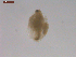  ( - BIOUG01701-F02)  @12 [ ] Unspecified (default): All Rights Reserved  Unspecified Unspecified