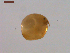  ( - BIOUG01702-G04)  @13 [ ] Unspecified (default): All Rights Reserved  Unspecified Unspecified
