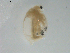  ( - BIOUG01703-G08)  @13 [ ] Unspecified (default): All Rights Reserved  Unspecified Unspecified