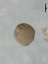  ( - BIOUG01705-A09)  @13 [ ] Unspecified (default): All Rights Reserved  Unspecified Unspecified