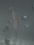  ( - BIOUG00922-D08)  @13 [ ] Unspecified (default): All Rights Reserved  Unspecified Unspecified