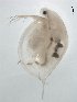  ( - BIOUG00924-C09)  @13 [ ] Unspecified (default): All Rights Reserved  Unspecified Unspecified
