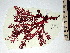  ( - GWS001914)  @11 [ ] CreativeCommons - Attribution Non-Commercial Share-Alike (2010) Unspecified University of New Brunswick