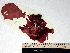  ( - GWS002016)  @11 [ ] CreativeCommons - Attribution Non-Commercial Share-Alike (2010) Unspecified University of New Brunswick