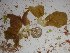  ( - GWS022871)  @11 [ ] Unspecified (default): All Rights Reserved  Unspecified Unspecified