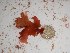  ( - GWS022906)  @11 [ ] Unspecified (default): All Rights Reserved  Unspecified Unspecified