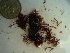  ( - GWS023120)  @11 [ ] Unspecified (default): All Rights Reserved  Unspecified Unspecified