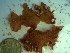  ( - GWS023208)  @11 [ ] Unspecified (default): All Rights Reserved  Unspecified Unspecified