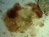  ( - GWS023247)  @11 [ ] Unspecified (default): All Rights Reserved  Unspecified Unspecified