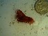  ( - GWS023258)  @11 [ ] Unspecified (default): All Rights Reserved  Unspecified Unspecified