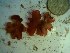  ( - GWS023296)  @11 [ ] Unspecified (default): All Rights Reserved  Unspecified Unspecified