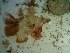  ( - GWS023305)  @11 [ ] Unspecified (default): All Rights Reserved  Unspecified Unspecified