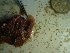  ( - GWS023324)  @11 [ ] Unspecified (default): All Rights Reserved  Unspecified Unspecified