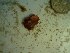  ( - GWS023325)  @11 [ ] Unspecified (default): All Rights Reserved  Unspecified Unspecified