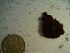  ( - GWS023380)  @11 [ ] Unspecified (default): All Rights Reserved  Unspecified Unspecified