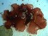  ( - GWS023418)  @11 [ ] Unspecified (default): All Rights Reserved  Unspecified Unspecified