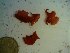  ( - GWS023423)  @11 [ ] Unspecified (default): All Rights Reserved  Unspecified Unspecified
