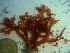  ( - GWS023429)  @11 [ ] Unspecified (default): All Rights Reserved  Unspecified Unspecified